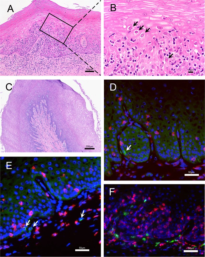 FIG 3