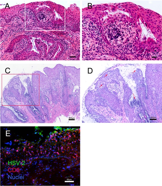 FIG 2