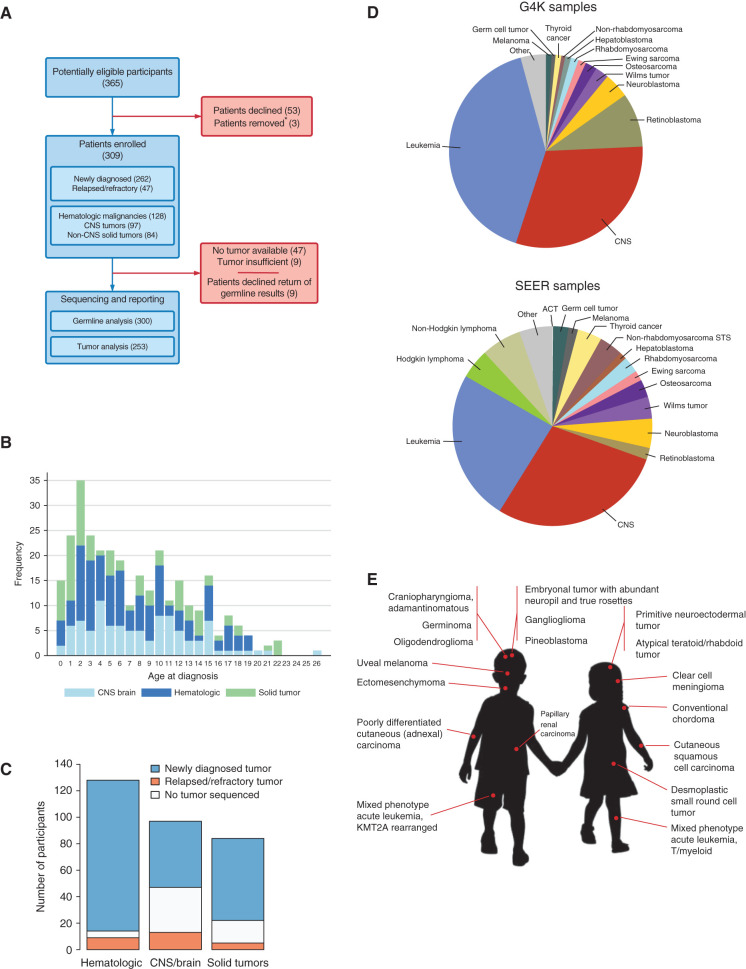 Figure 1. Patient accrual and demographic data. A, Consort diagram depicting patient accrual into G4K. *Three patients were removed from the study when pathology revealed that 1 patient had no cancer, another patient died before a germline sample could be collected, and another patient declined return of germline results and there was insufficient tumor for sequencing. B, Age distribution of patients. C, Number of patients with newly diagnosed or relapsed or refractory tumors, or no tumor available for sequencing, broken down by major tumor type. D, The distribution of cancer types represented in the G4K cohort (top) compared to the distribution of pediatric cancers in the NCI SEER program (bottom). ACT, adrenocortical tumor; STS, soft-tissue sarcoma. E, Eighteen rare tumor types found in the G4K cohort. Rare tumor types were defined as those present at less than 2 per million children annually in the United States.