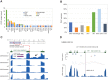 Figure 4. Germline variants and assessment of variant pathogenicity based on RNA data. A, Numbers of germline P/LP variants, broken down by gene and tumor type. NBL, neuroblastoma; RB, retinoblastoma. B, Proportions of germline P/LP variants, broken down by tumor type. C, BAP1 intron 4 retention in SJEWS030332 compared to other G4K Ewing sarcoma cases. Each blue histogram shows hg19-aligned RNA-seq coverage relative to the BAP1 gene model in green (note that BAP1 is on the negative strand). The position of the exon 5 splice acceptor mutation is indicated by the red dotted line. Increased read coverage in the SJEWS030332 (bearing a mutation at the -3 position of exon 5) intron relative to the three other samples indicates intron 4 retention (black arrow). Inset histograms show the relative proportion of reference and variant alleles in tumor-derived WGS and RNA-seq in gray and purple, respectively. Corresponding read counts are WGS: 32G/21T (40% variant allele) and RNA 2G/28T (93% variant allele). Above the RNA coverage plots is a schematic of the BAP1 protein with the location of the splice variant leading to protein truncation marked. D, NF1 exon 45 skipping in SJBALL030144. The blue histogram shows RNA-seq coverage relative to the NF1 gene model in green. Canonical splices are shown as light blue links between exons, and a noncanonical splice is shown in mauve. The height of mauve and blue lollipops is proportional to the number of splice junction reads detected plotted on a log scale on the y-axis. The purple bar indicates the position of the NF1 exon 45 splice acceptor mutation. Exon 45 expression is diminished relative to flanking exons, and a noncanonical splice linking exons 44 and 46 is observed, indicating an exon skipping event.