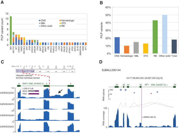 Figure 4. Germline variants and assessment of variant pathogenicity based on RNA data. A, Numbers of germline P/LP variants, broken down by gene and tumor type. NBL, neuroblastoma; RB, retinoblastoma. B, Proportions of germline P/LP variants, broken down by tumor type. C, BAP1 intron 4 retention in SJEWS030332 compared to other G4K Ewing sarcoma cases. Each blue histogram shows hg19-aligned RNA-seq coverage relative to the BAP1 gene model in green (note that BAP1 is on the negative strand). The position of the exon 5 splice acceptor mutation is indicated by the red dotted line. Increased read coverage in the SJEWS030332 (bearing a mutation at the -3 position of exon 5) intron relative to the three other samples indicates intron 4 retention (black arrow). Inset histograms show the relative proportion of reference and variant alleles in tumor-derived WGS and RNA-seq in gray and purple, respectively. Corresponding read counts are WGS: 32G/21T (40% variant allele) and RNA 2G/28T (93% variant allele). Above the RNA coverage plots is a schematic of the BAP1 protein with the location of the splice variant leading to protein truncation marked. D, NF1 exon 45 skipping in SJBALL030144. The blue histogram shows RNA-seq coverage relative to the NF1 gene model in green. Canonical splices are shown as light blue links between exons, and a noncanonical splice is shown in mauve. The height of mauve and blue lollipops is proportional to the number of splice junction reads detected plotted on a log scale on the y-axis. The purple bar indicates the position of the NF1 exon 45 splice acceptor mutation. Exon 45 expression is diminished relative to flanking exons, and a noncanonical splice linking exons 44 and 46 is observed, indicating an exon skipping event.