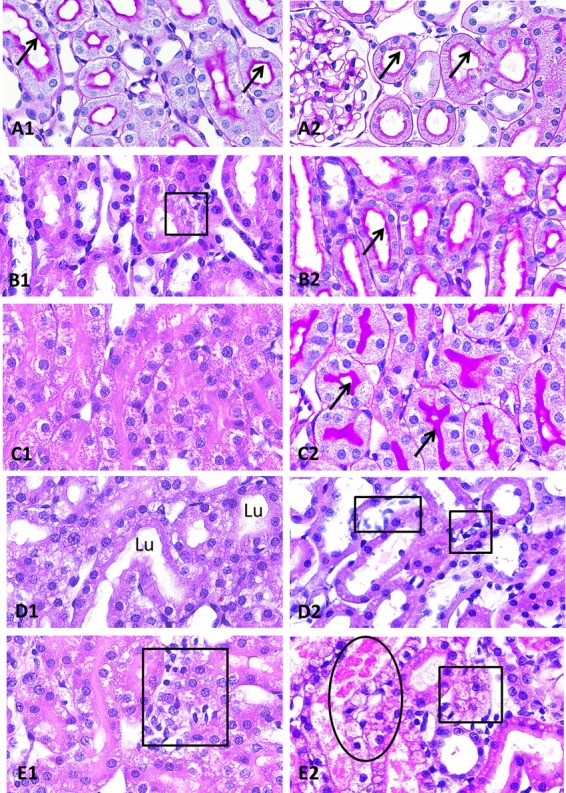 FIG 4