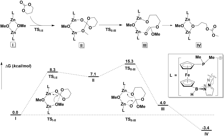 Figure 7