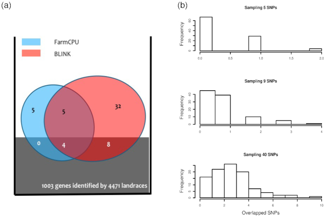 Figure 4: