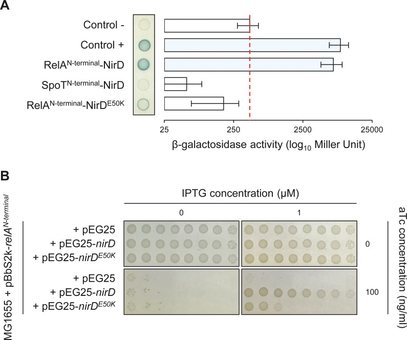 Figure 4—figure supplement 1.