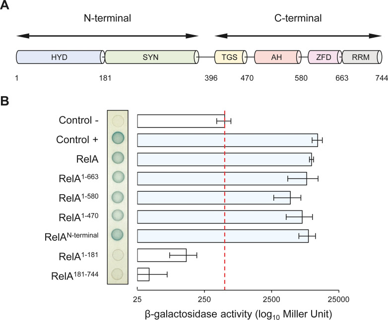 Figure 4.