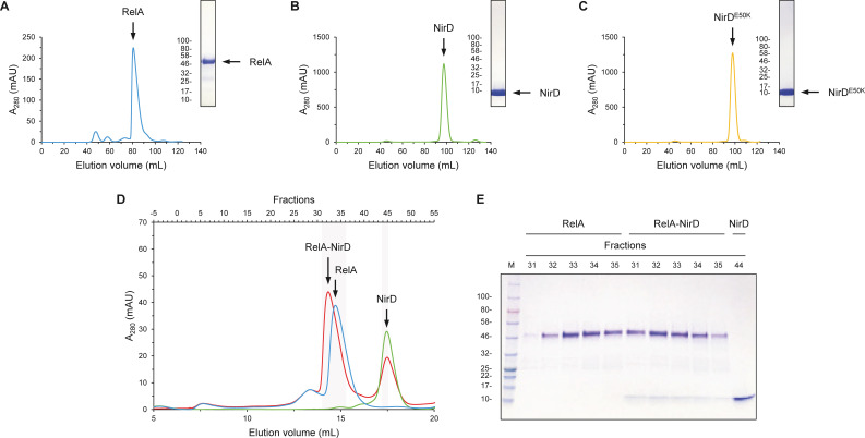 Figure 5—figure supplement 1.