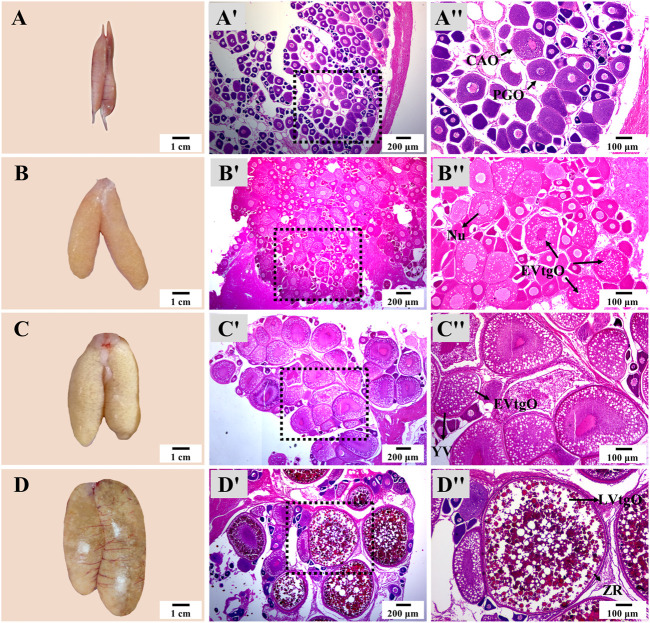 FIGURE 6