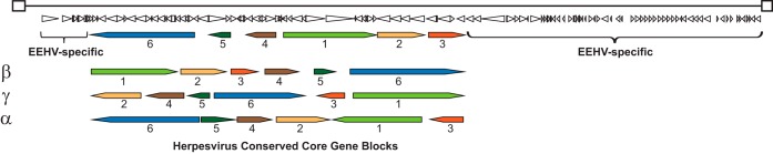 FIG 2