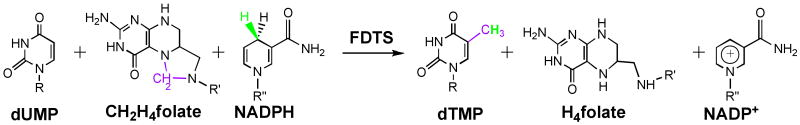 Scheme 2