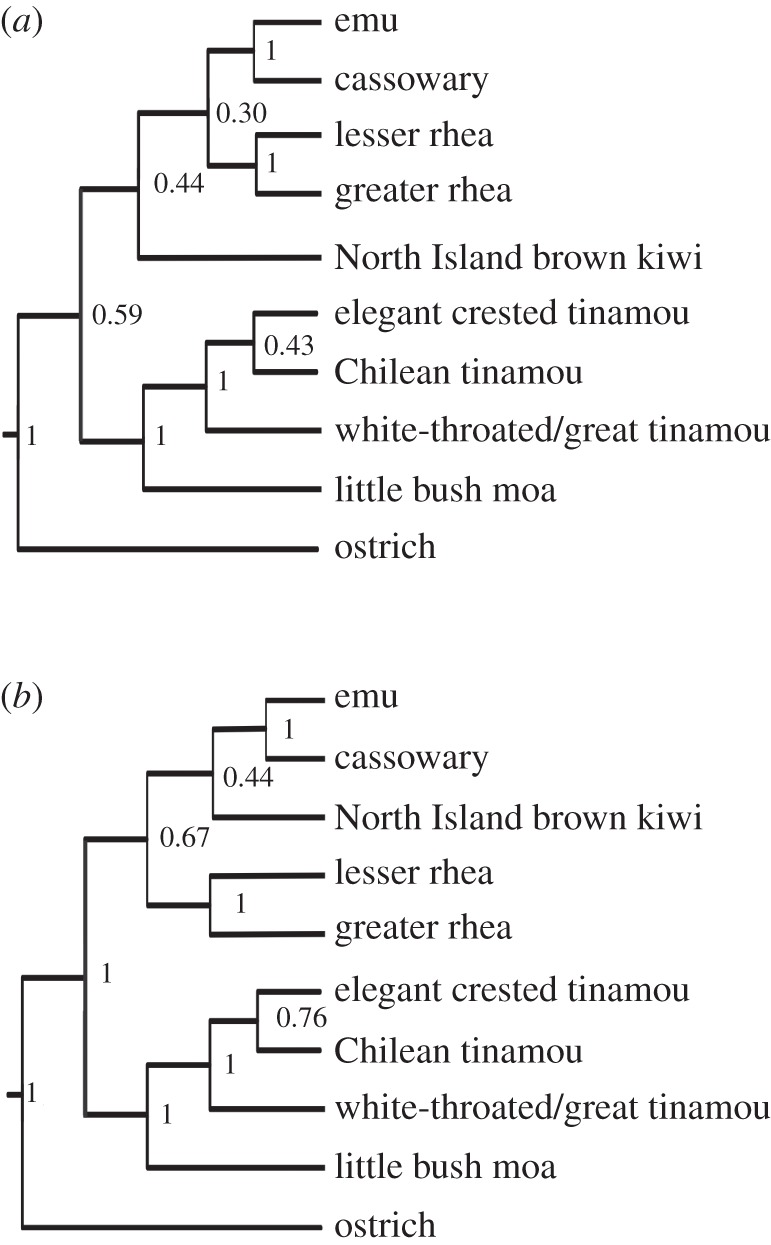 Figure 3.