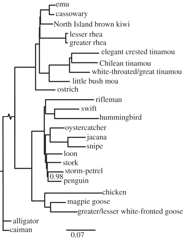 Figure 2.