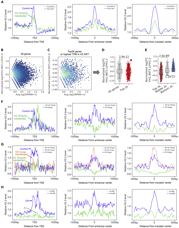 Figure 3