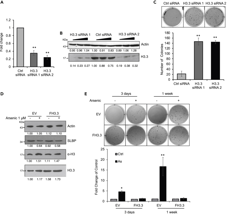 Figure 6