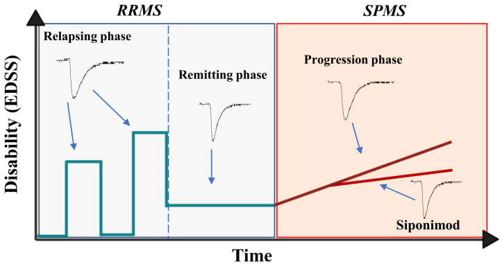 Figure 4