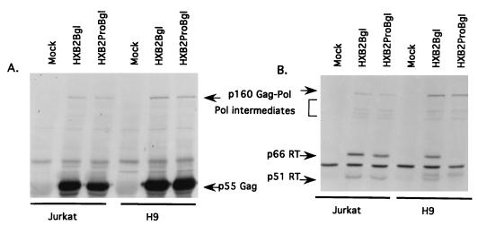 FIG. 6