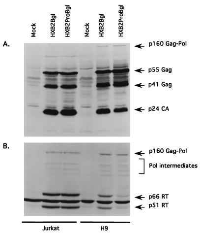 FIG. 3