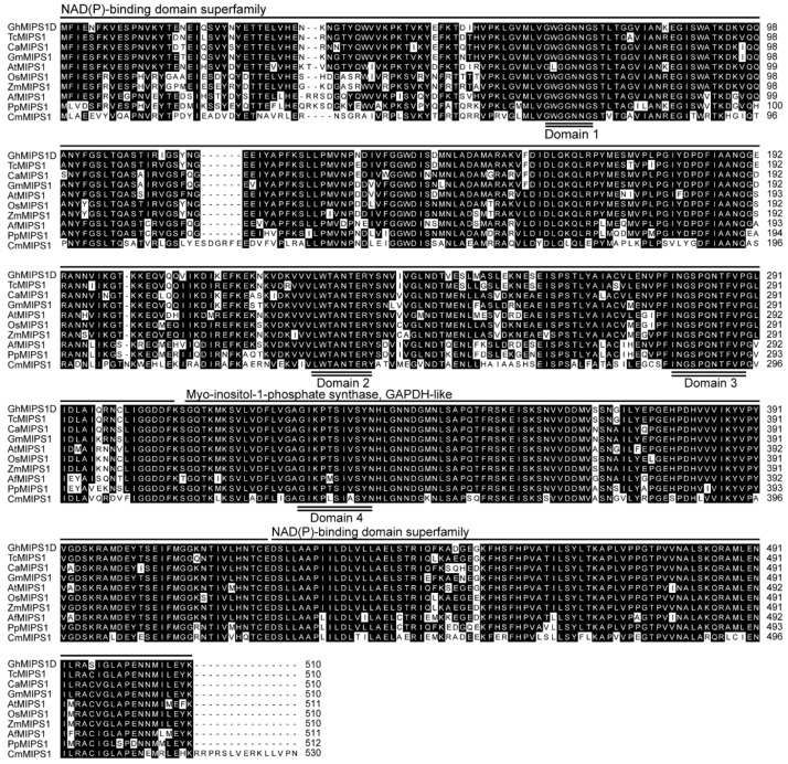 Figure 2