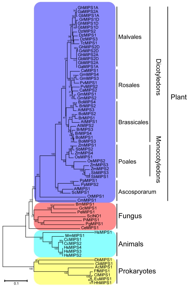 Figure 1