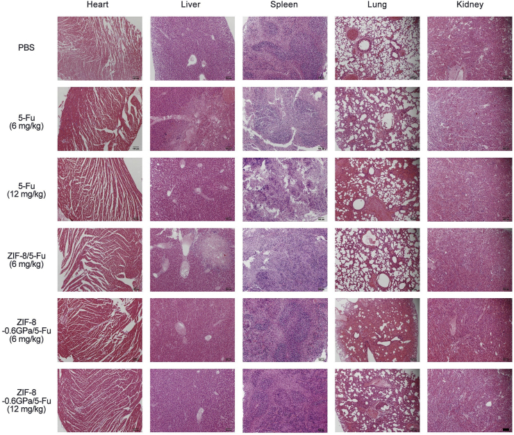 Fig. 6