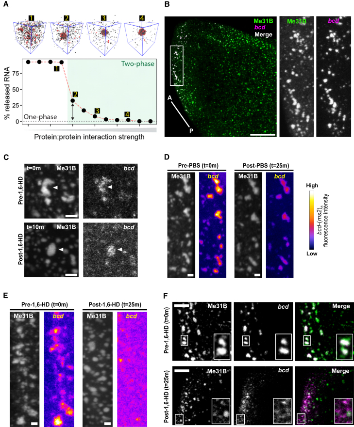 Figure 6