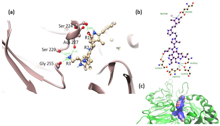 Figure 11