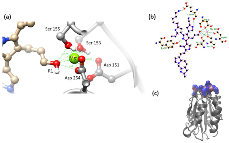 Figure 9