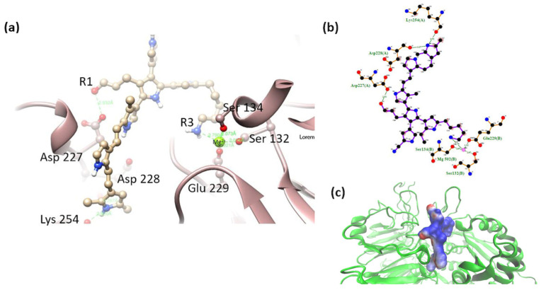 Figure 12