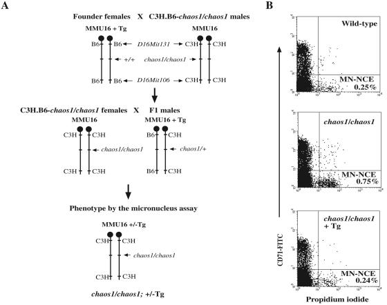 FIG. 1.