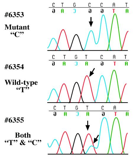 FIG. 2.