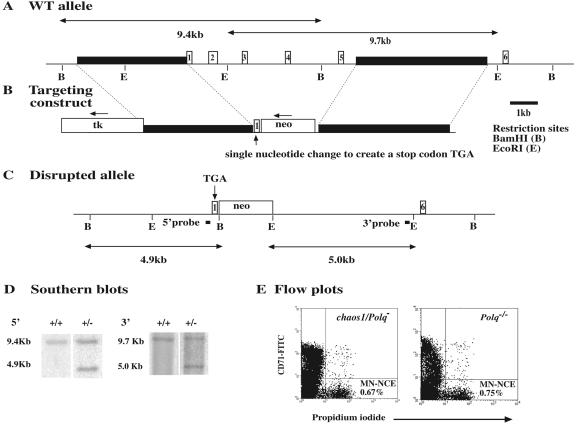 FIG. 3.