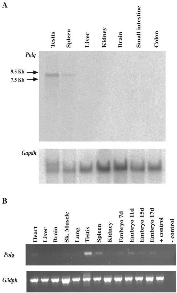 FIG. 5.