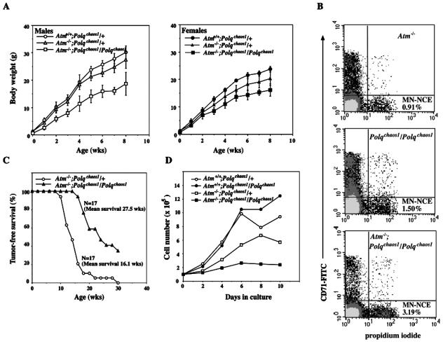 FIG. 6.