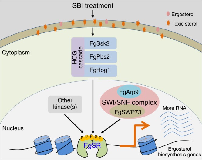 Fig. 10