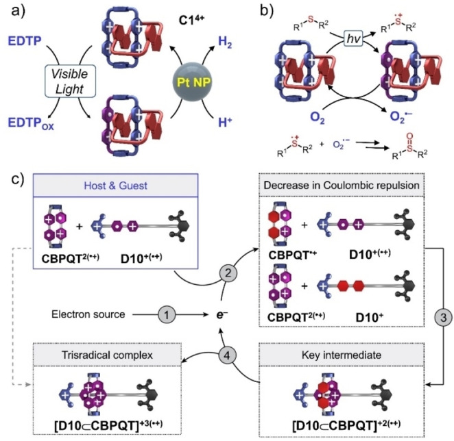 Figure 22