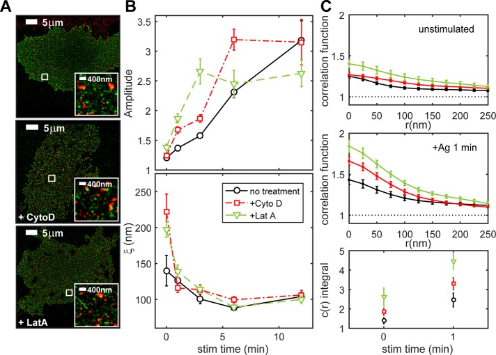 FIGURE 3: