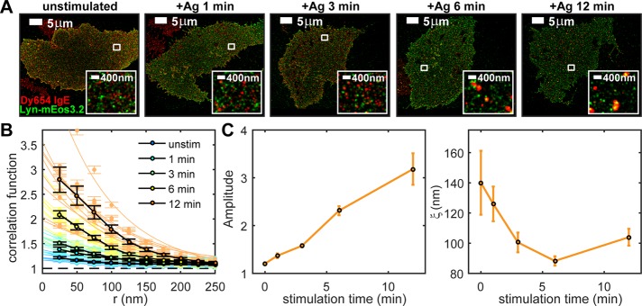 FIGURE 1: