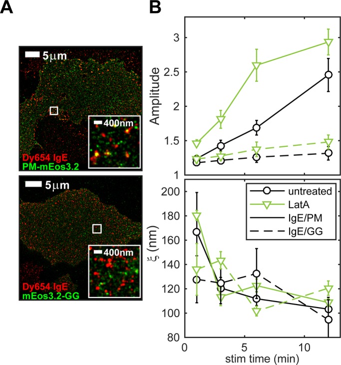 FIGURE 5: