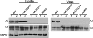 FIG 5