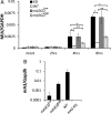 FIG 6