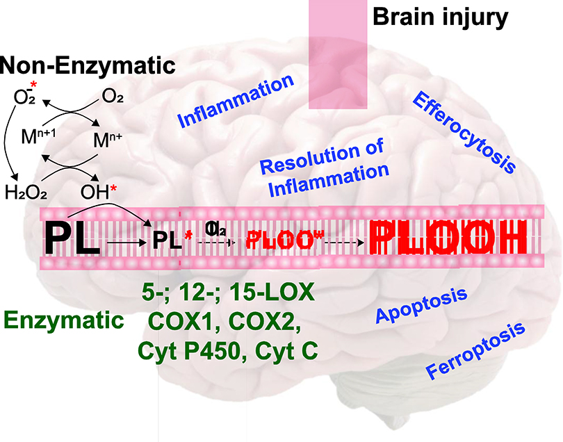 graphic file with name nihms-1500482-f0001.jpg