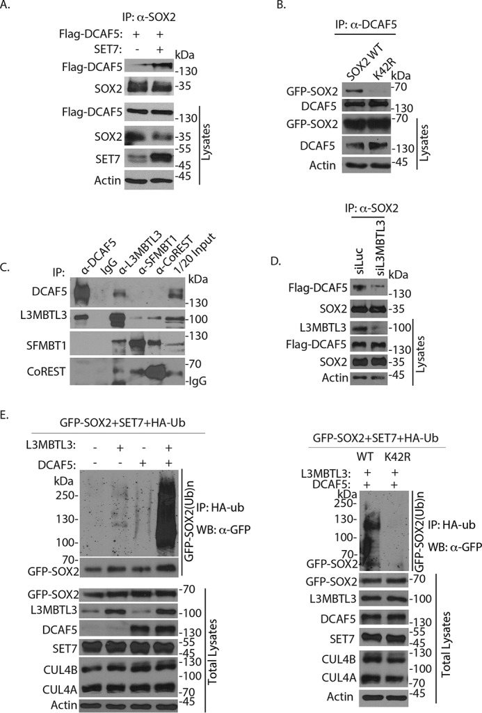 Figure 6.