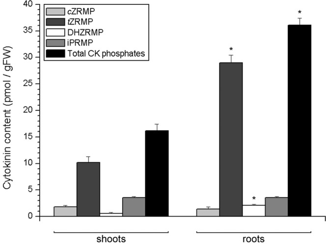 Figure 7