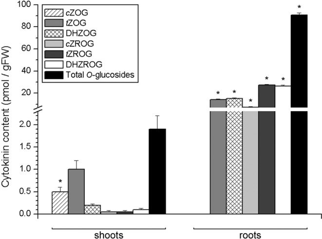 Figure 5