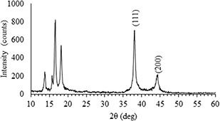 Fig. 8