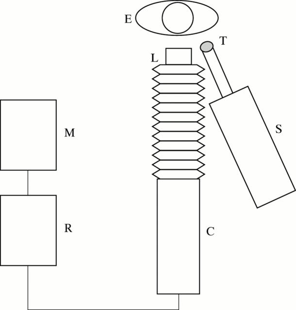 Figure 3  