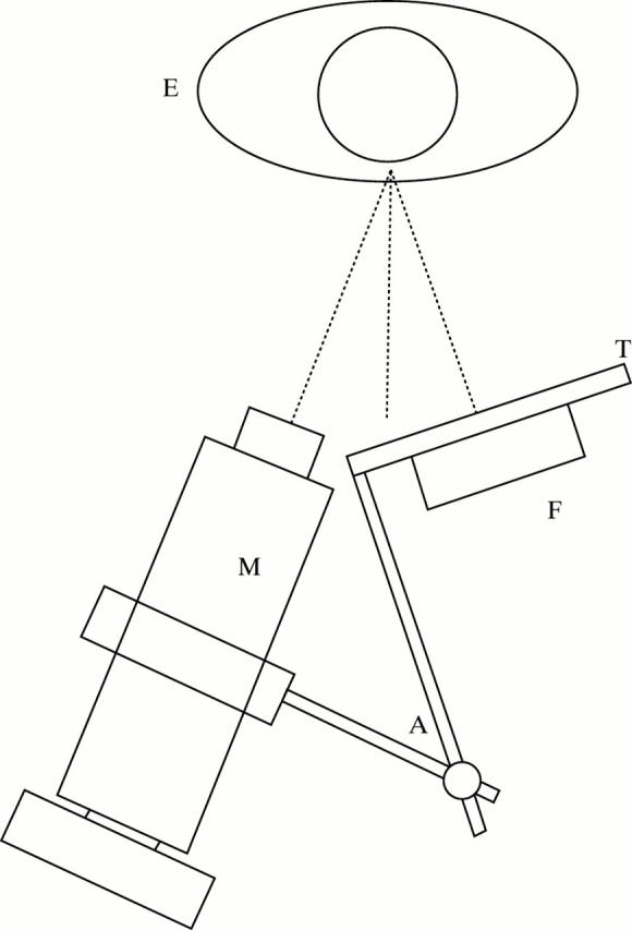 Figure 2  