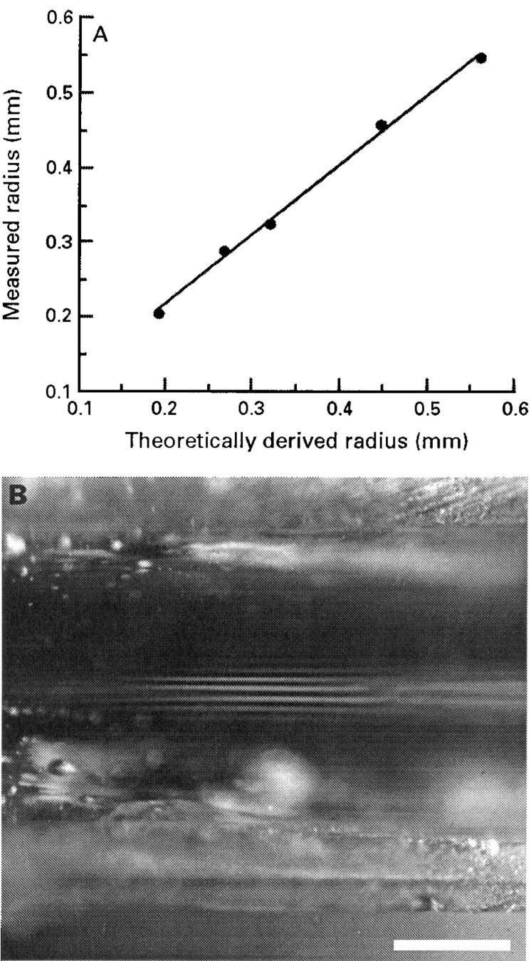 Figure 4  