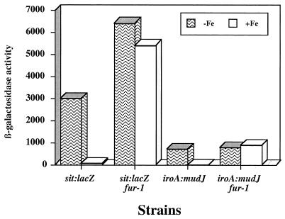 FIG. 6