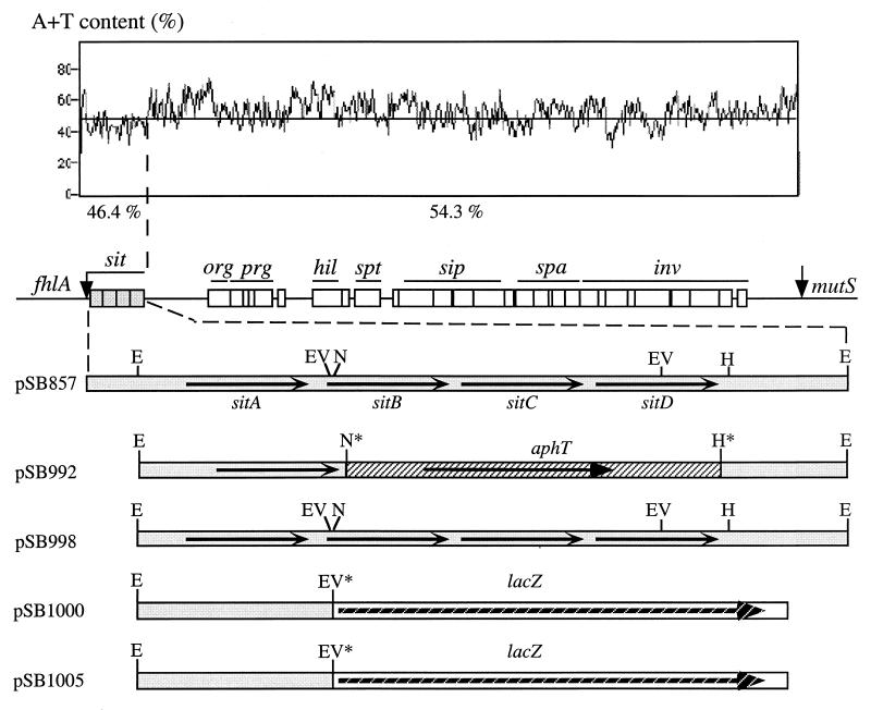 FIG. 1